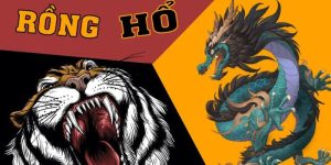 Những điều cần biết khi choi Rồng Hổ online